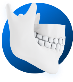 Jaw bone on blue background.